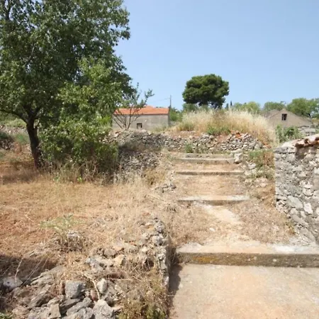 Darka Διαμέρισμα